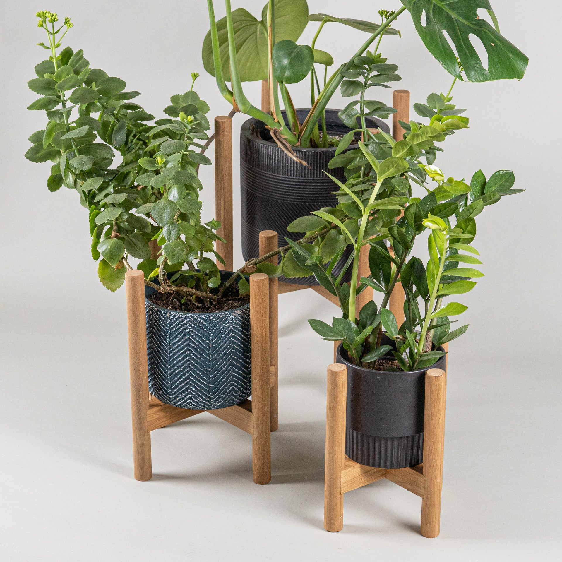 Plant Stands in Rimu - Limited Edition